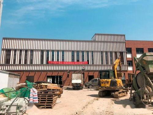 海安海师最新爆料,揭秘神秘事件背后的真相