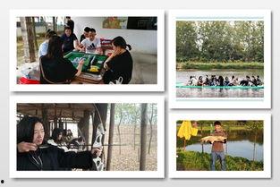 国庆适合去哪儿玩最新爆料,揭秘2023国庆出行攻略